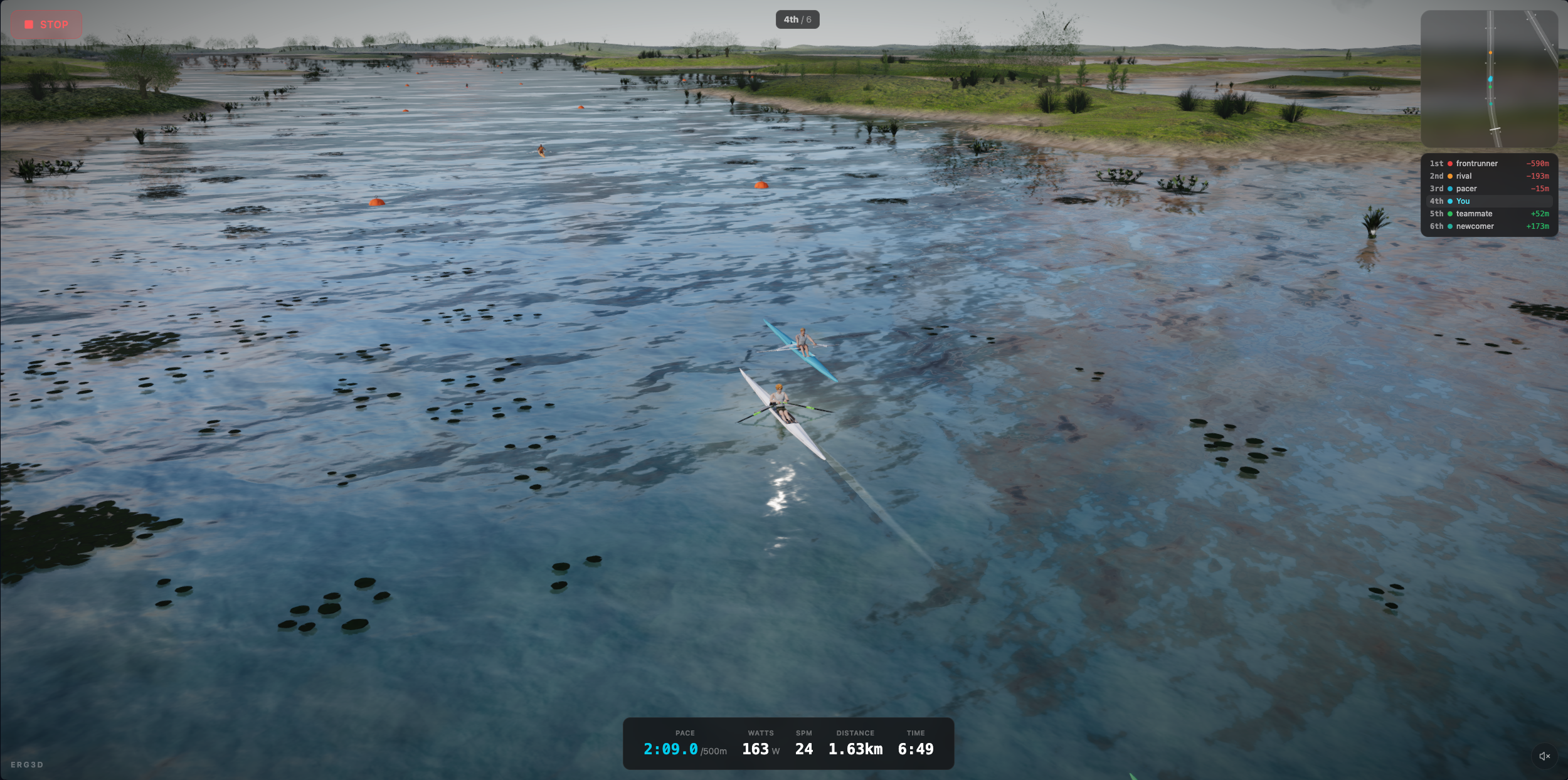 Single sculler gliding past waterlilies